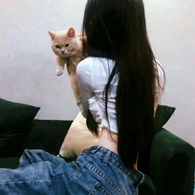 阿里安